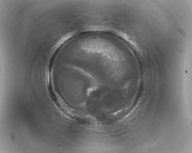 X0000116571221200912101503