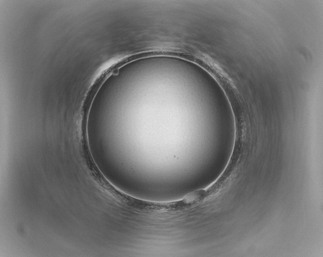 X0000116571222200912101503