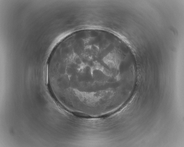 X0000116571223200912101504