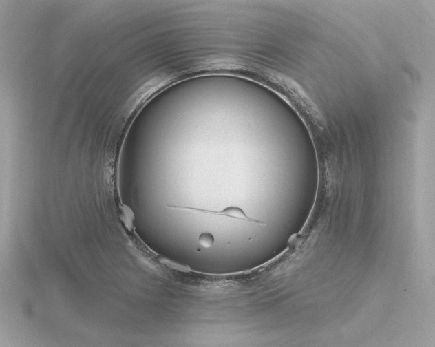 X0000116571225200912101504