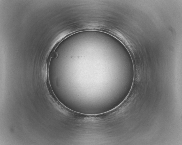 X0000116571227200912101504