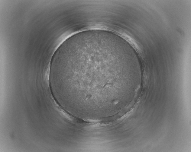 X0000116571228200912101504