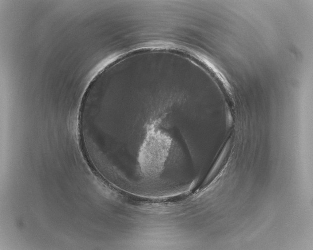 X0000116571229200912101504