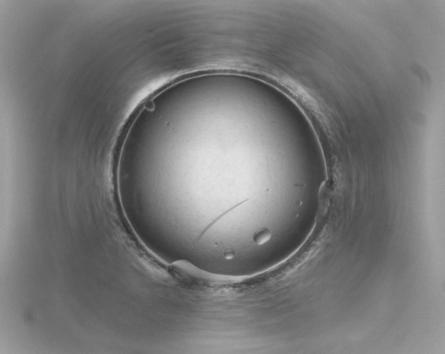 X0000116571230200912101504