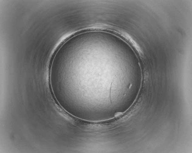 X0000116571232200912101504