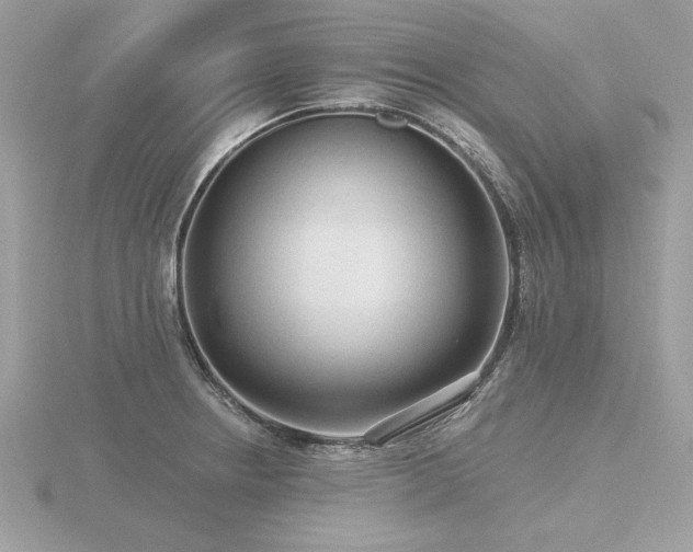 X0000116571234200912101504