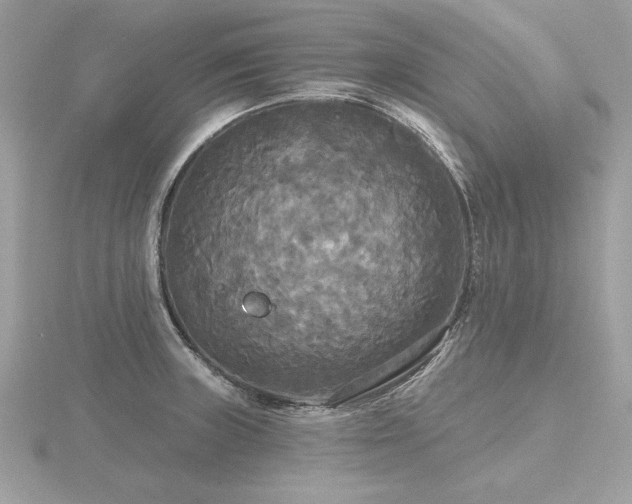 X0000116571235200912101504