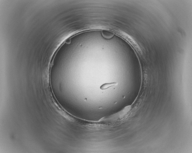 X0000116571236200912101504