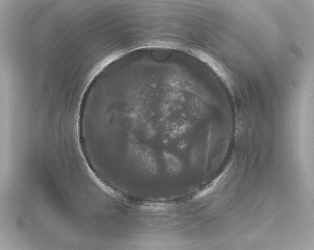 X0000116571237200912101504