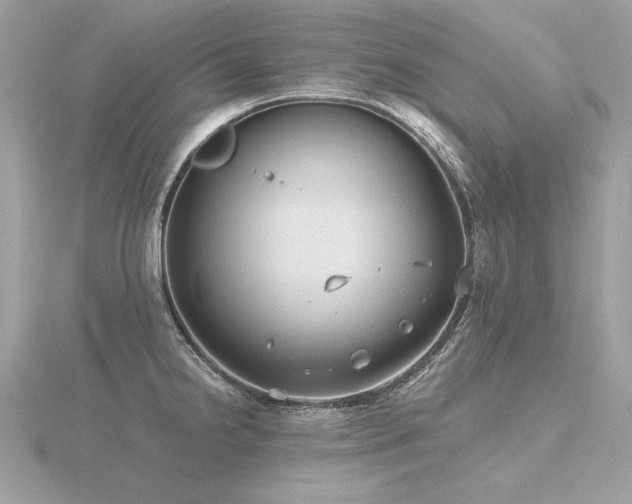 X0000116571238200912101504