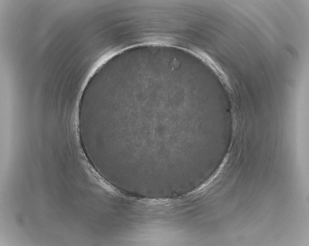 X0000116571240200912101504