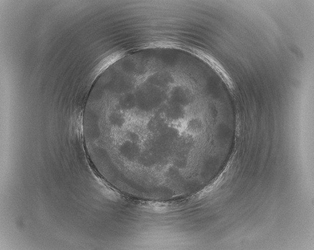 X0000116571241200912101504