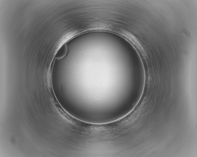 X0000116571242200912101504