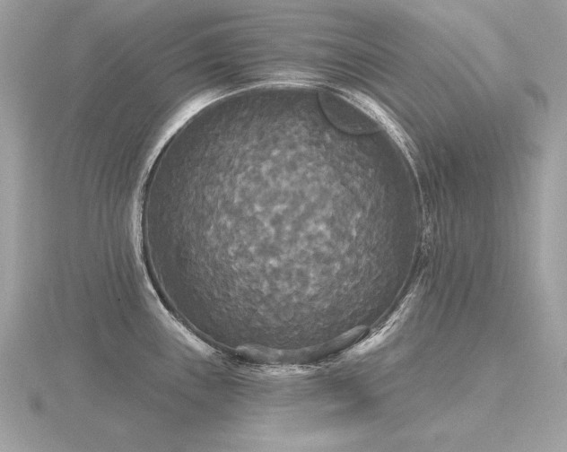 X0000116571243200912101504