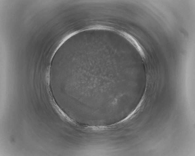 X0000116571244200912101504