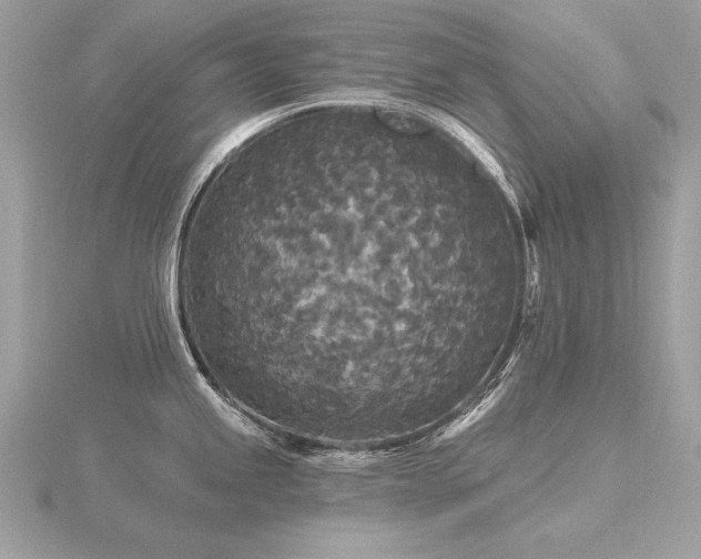 X0000116571245200912101504