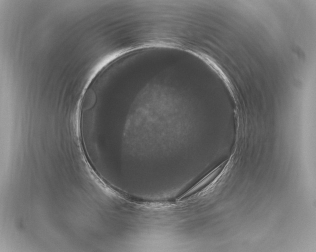 X0000116571246200912101504