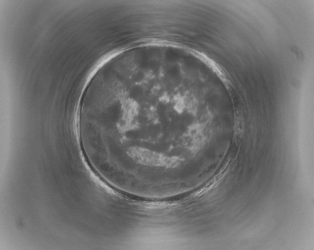 X0000116571247200912101504