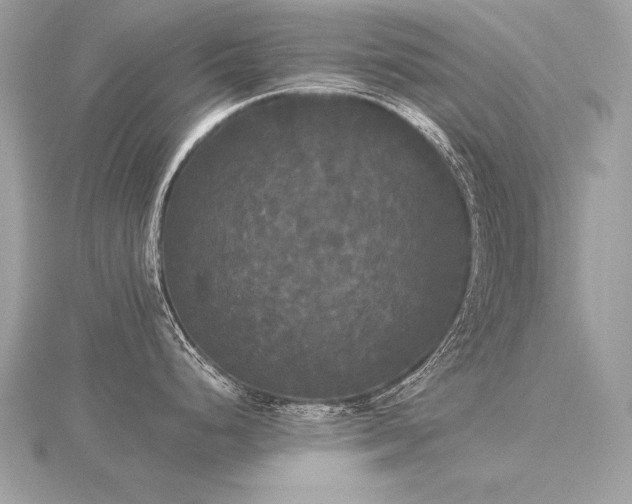 X0000116571248200912101504