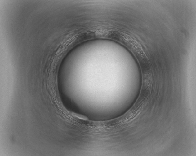 X0000116571249200912101503