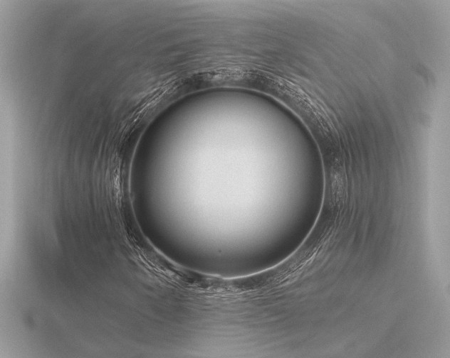 X0000116571250200912101503