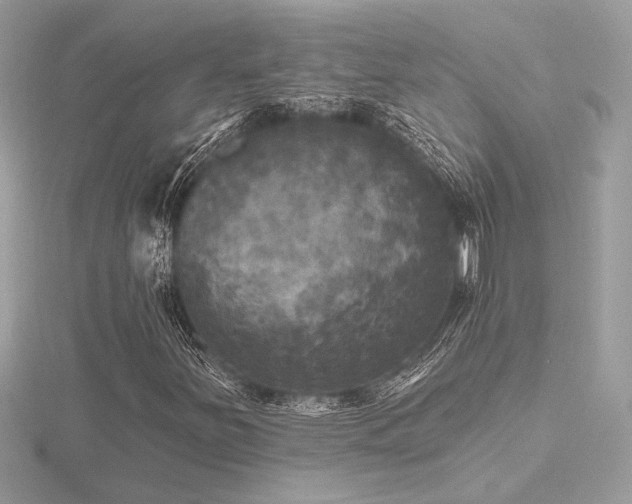 X0000116571251200912101503