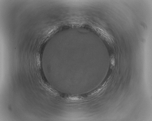 X0000116571252200912101503