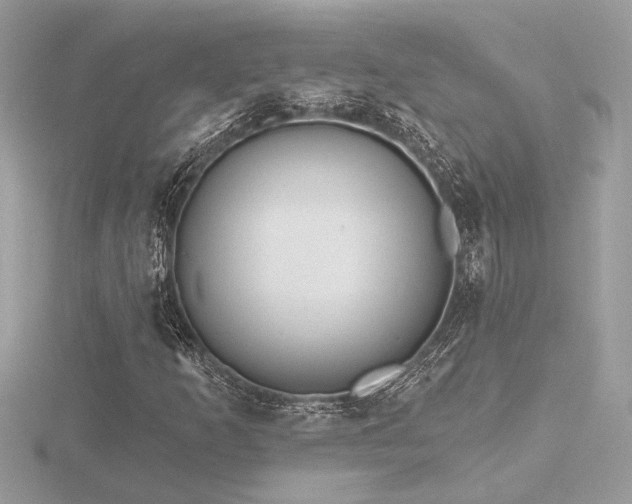 X0000116571253200912101503