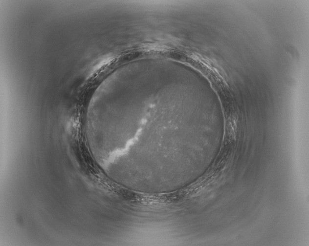 X0000116571254200912101503