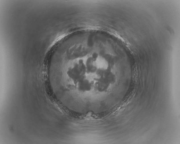 X0000116571255200912101503