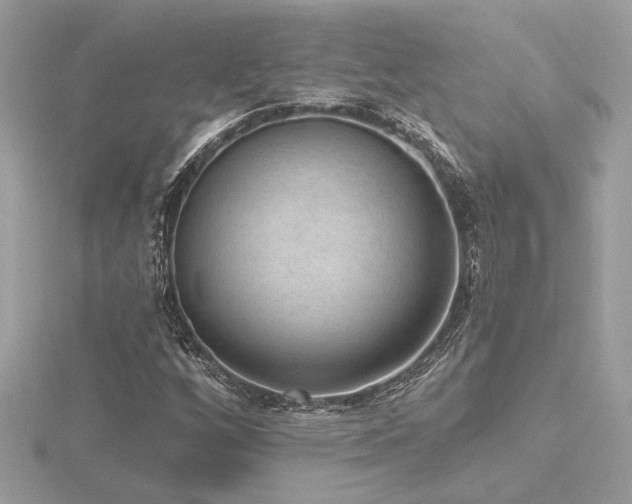 X0000116571256200912101503