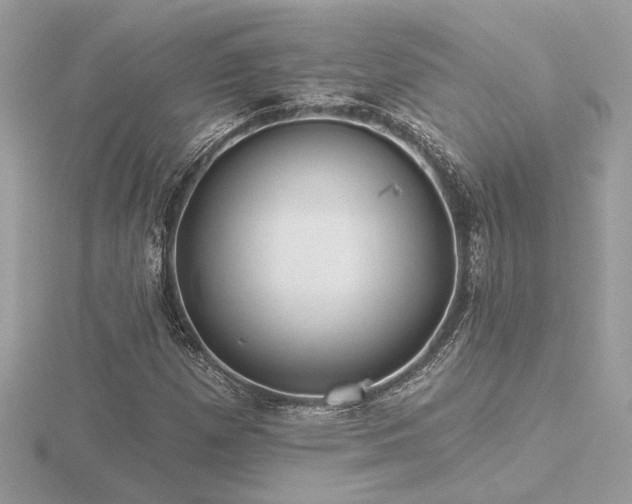 X0000116571257200912101503