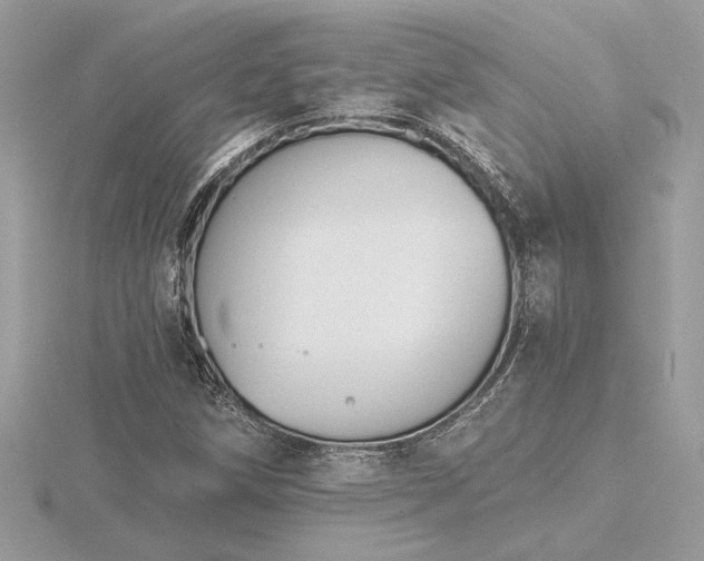 X0000116571258200912101503