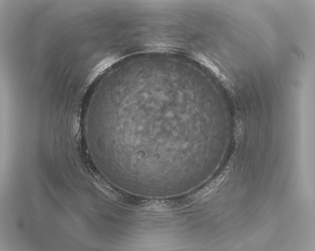 X0000116571259200912101503