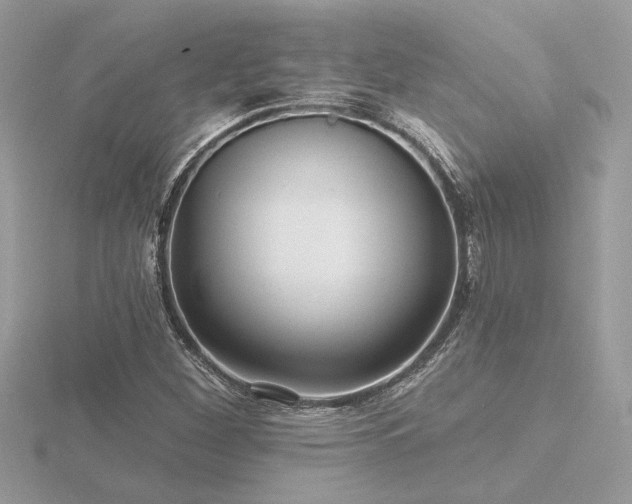 X0000116571260200912101503