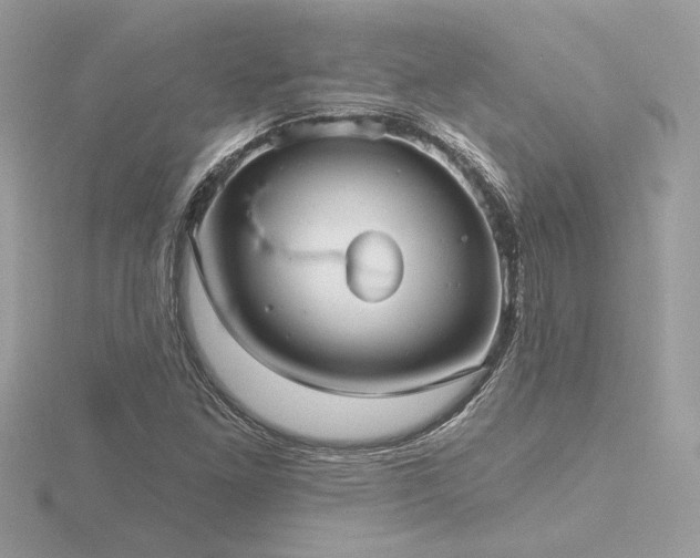 X0000116571261200912101503