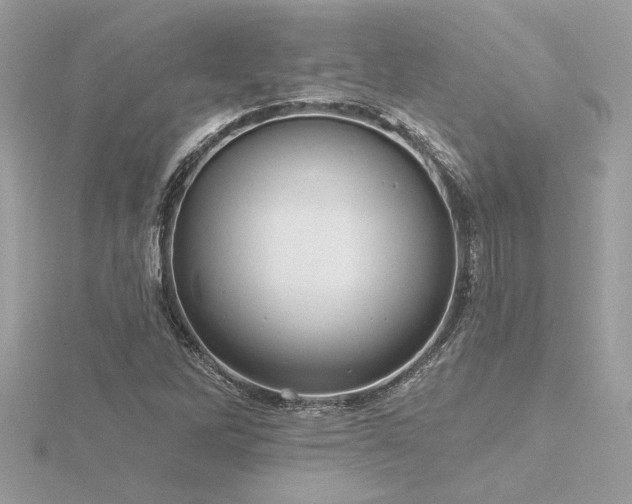 X0000116571262200912101503