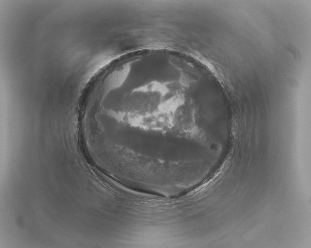 X0000116571263200912101503