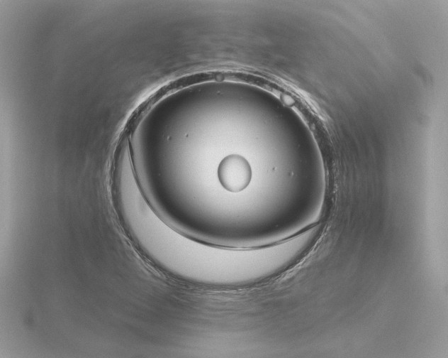 X0000116571264200912101503