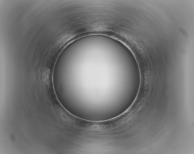 X0000116571265200912101503