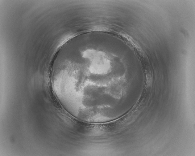 X0000116571266200912101503