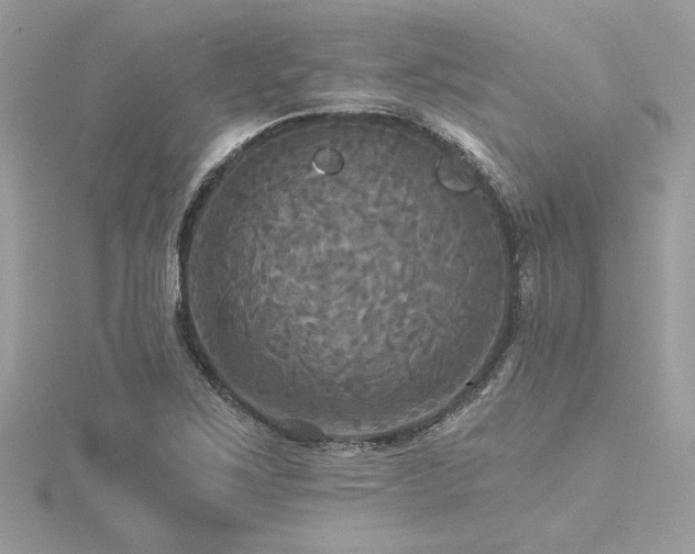 X0000116571267200912101503