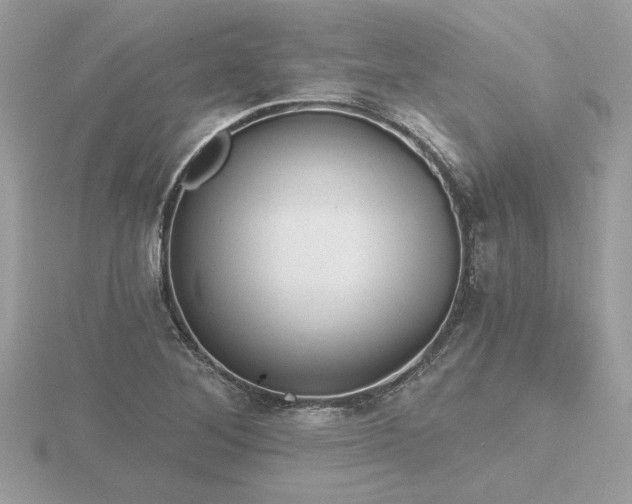 X0000116571268200912101503