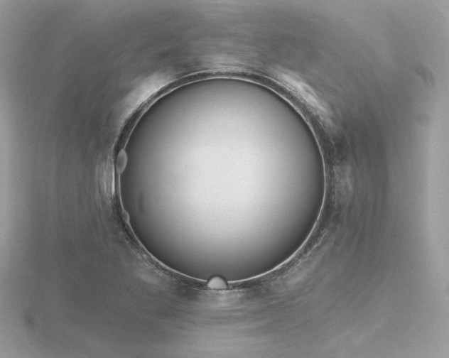 X0000116571269200912101503