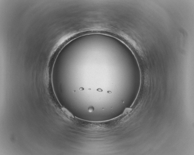 X0000116571270200912101503