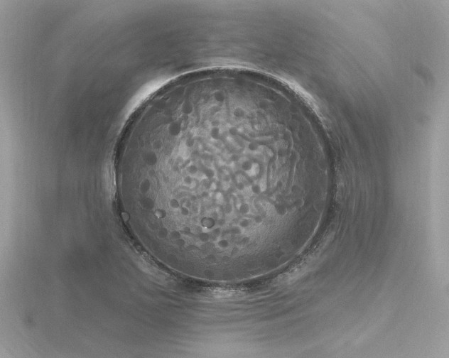 X0000116571271200912101503