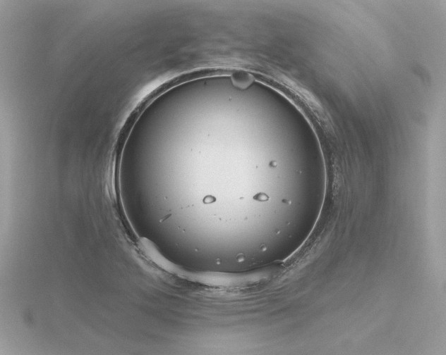 X0000116571272200912101503