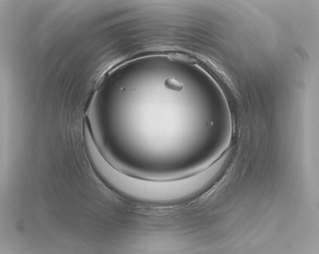 X0000116571273200912101503