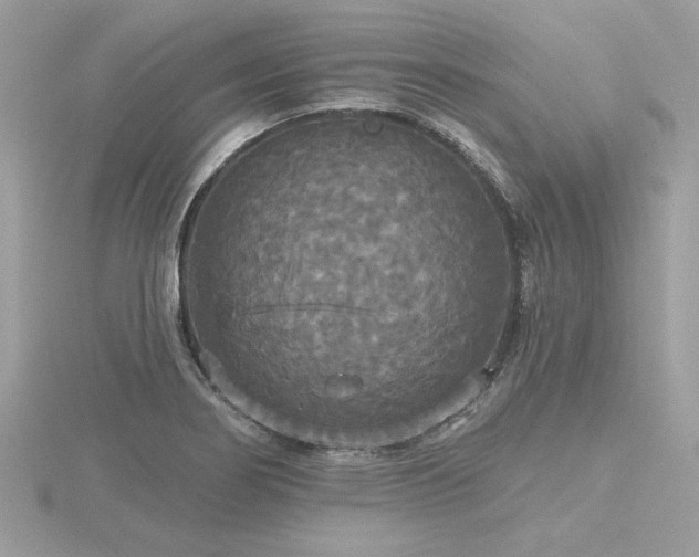 X0000116571274200912101503