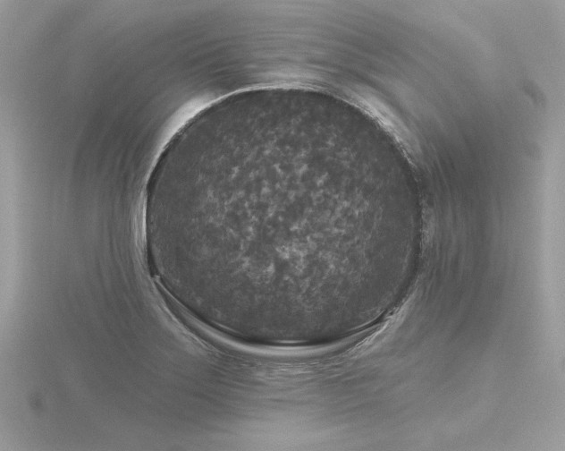 X0000116571275200912101503